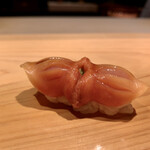 こま田 - 大振り　赤貝