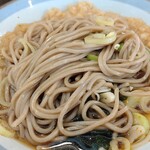 ガリレオ 八兵衛 - そばは長いのがいいね