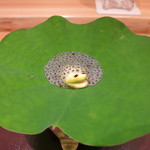 神保町 傳 - 25年8月　雨蛙と卵　蓮の葉の上で