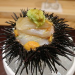 神保町 傳 - 25年8月　ムラサキウニと〆たて鱸