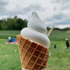 アルトピアーノ - 料理写真:牧場ソフトクリーム