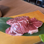 로그테이 혼텐 - 