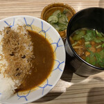 四季彩ダイニング　春 - ちりめんじゃこのひと口カレー
      
      ご飯、わりと固めで和風の出汁が効いたカレー
      
      〆でいただくの…いいっすね。