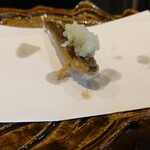 Tempura Sen No Tane - 