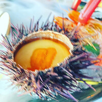 Bar＆Lounge MAJESTIC - 