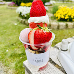 ファヴォリ - いちごパフェ1,320円　みずみずしいいちご　めちゃくちゃ美味しい