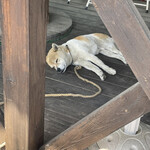 串焼き BUBU-TON - 