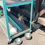 串焼き BUBU-TON - 