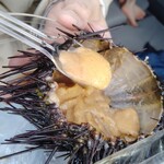 あけみちゃん号 - 