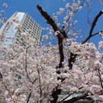 トライアングルカフェ - 二子玉deお花見