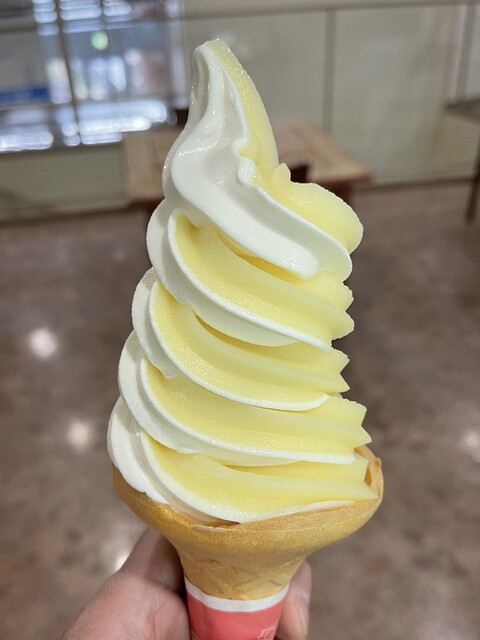 Yu-sa Asamushi photo 5