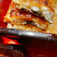 炭焼 うな富士 有楽町店 - 鰻