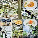 SOLA CAFE - 