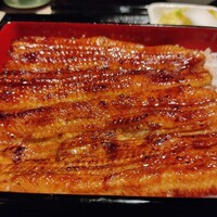うなぎ 目白ぞろ芽 - 