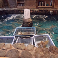河太郎 中洲本店 - 