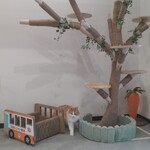 Small Cat Forest - 