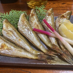 彩海 - ハタハタ