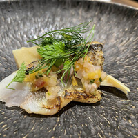 ダルマット 六本木ヒルズ店 - 