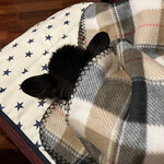 Karuizawa Hotel Soyokaze