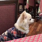 Karuizawa Hotel Soyokaze