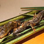 日本料理 幸庵 - 鮎塩焼き