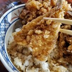 矢吹 - 鱚