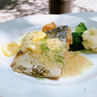 パリアッチョ 丸の内仲通り店 - 