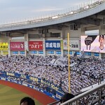 ZOZOマリンスタジアム - マリーンズの【声】の応援は、独特の雰囲気がありますね…