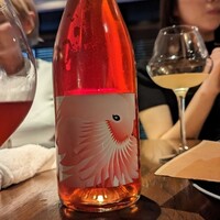 biodinamico - 