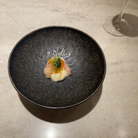 ダルマット 六本木ヒルズ店 - 