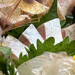 醍醐 - カンパチ腹身