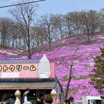 ひがしもこと芝桜公園売店 - 圧巻