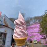 ひがしもこと芝桜公園売店 - 芝桜ソフト