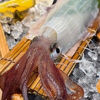 磯ぎよし 天神店 - 
