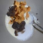 セルサルサーレ - 