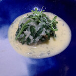 セルサルサーレ - 