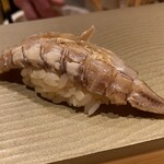 鮨 こまり - 蝦蛄