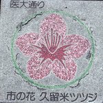 Chuuoutei - 医大通りに目的のお店があります。久留米の市の花はツツジなんですね。