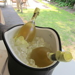 フォリオリーナ・デッラ・ポルタ・フォルトゥーナ - 