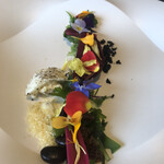 プレゼンテ スギ - スギ畑