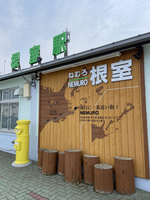 根室に来たらエスカロップ♪ : 薔薇の写真