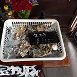 ナカガワ☆スエ食堂 - 生牡蠣が食べられます