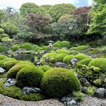 Matsuzaka Kaizu - 