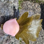 Kashi Dokoro Oraga - 