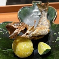 日本料理 晴山 - 