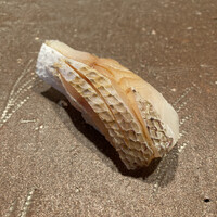 登喜和鮨 新発田本店 - 