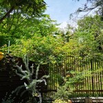 ムッシュ ペペ - 