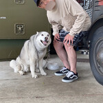 Jolly Roger Military Shop & Cafe - 