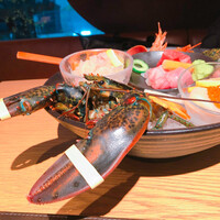 KINKA sushi bar izakaya 渋谷 - 