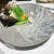博多海鮮 金木犀 - 料理写真: